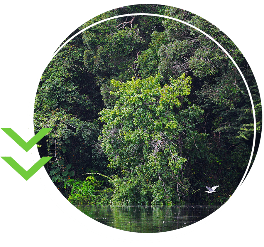 Icone do movimento -