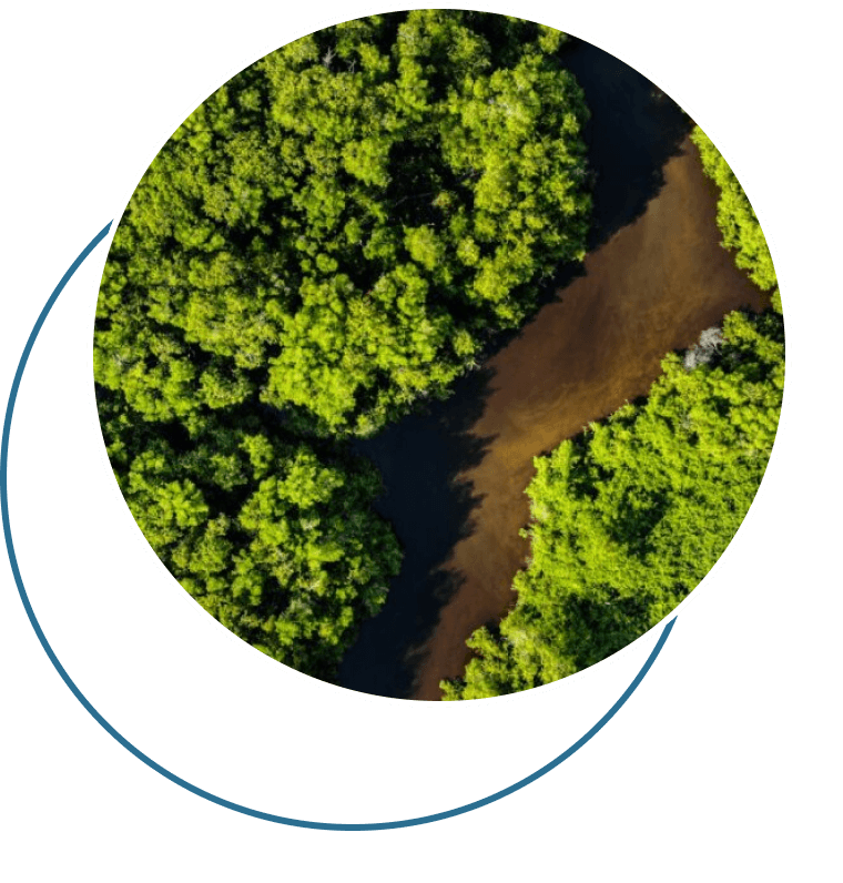 Icone do movimento -